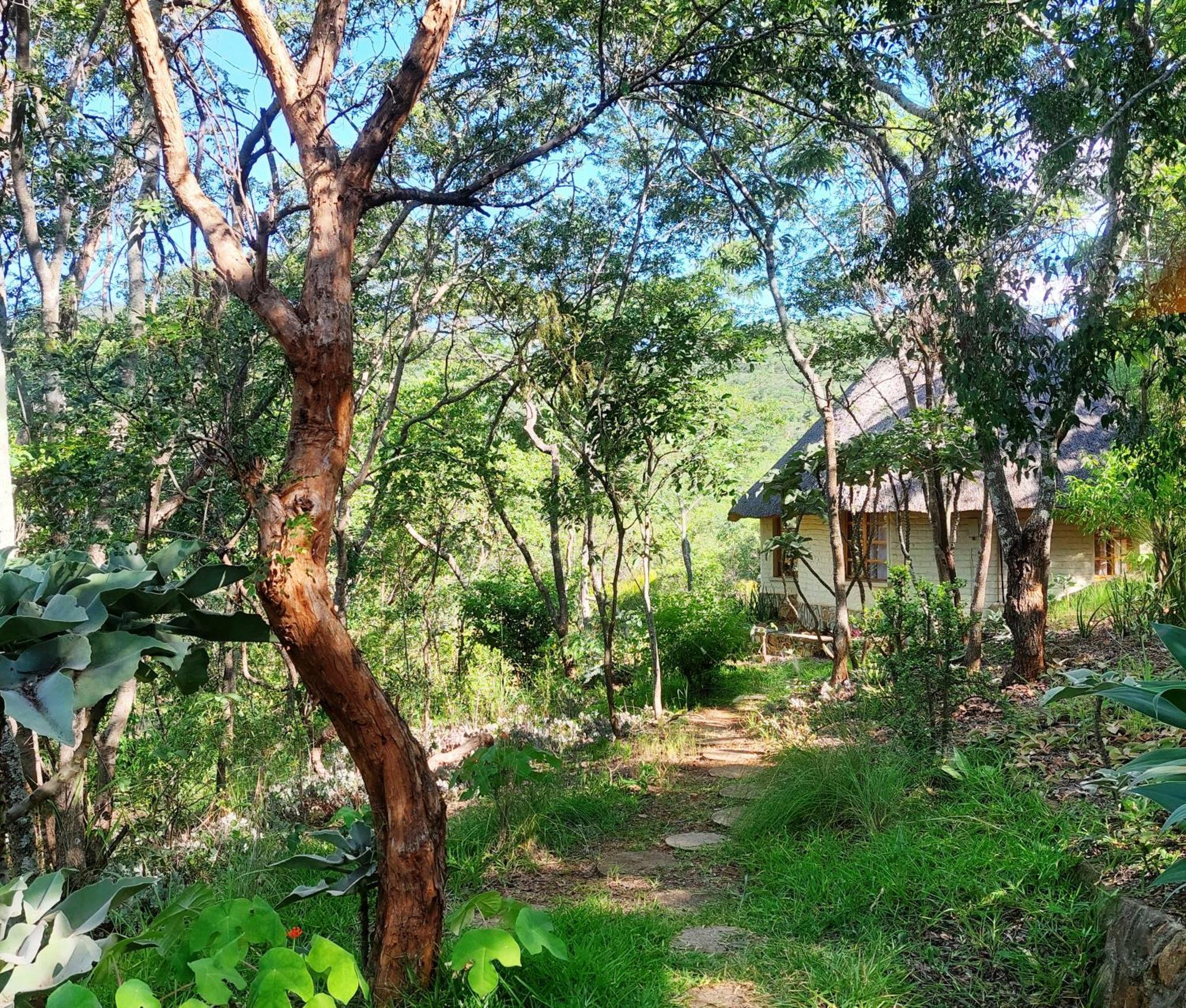 Musangano Lodge Odzi Exterior foto